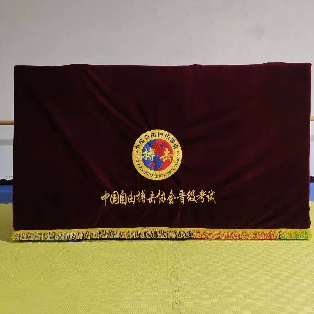 China Free Fighters Association